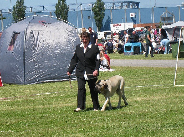 IMG_0799.jpg