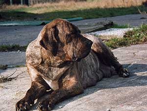 fenny03.jpg