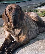 fenny04.jpg