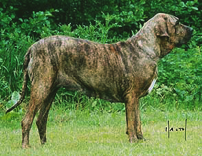fenny34.jpg