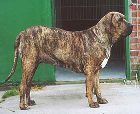 fenny36.jpg
