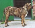 fenny36