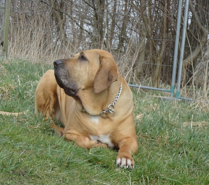 DSC00699.jpg - Sonnenstudio... bräunen......