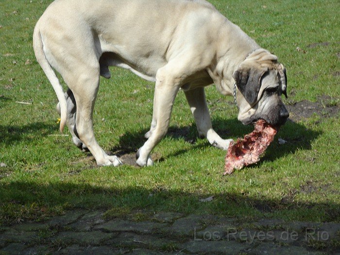 DSC00710.jpg - Hm.... egal.. ich nehm das erst mal mit. 