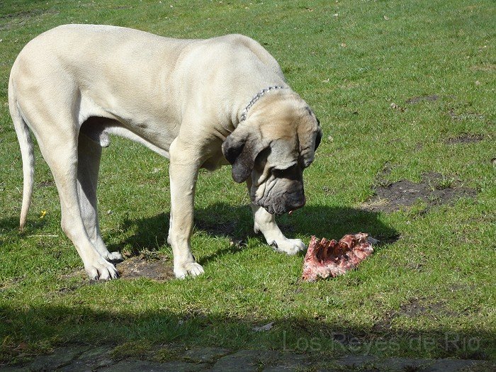 DSC00711.jpg - Öhm...... was bitte ist jetzt das?
