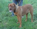 DSC00487