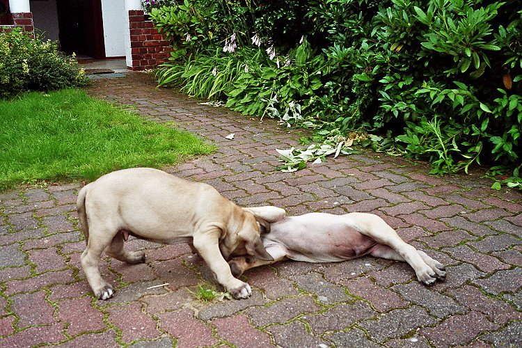 imm014_15.jpg