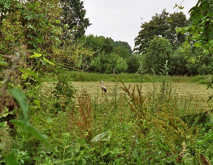 imm023_24.jpg