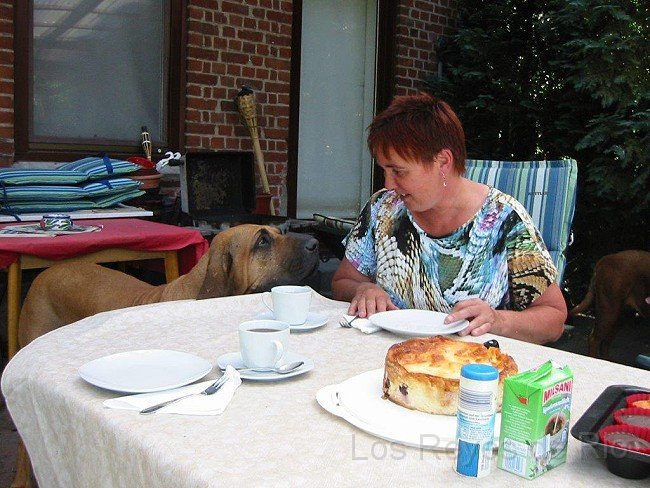 IMG_2859.jpg - Hm.. die sieht ja auch gut aus... ich glaube, Frauchen hat Angela gesagt *nachdenk* Ob ich.....