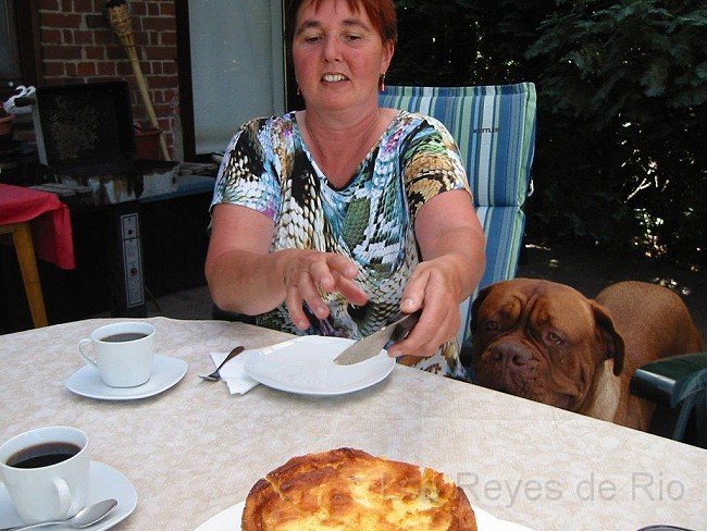 IMG_2862.jpg - Nix Küsschen... hier wird nicht geknutscht. Angela, lass mal so ein Stück leckeren Käsekuchen rüberwachsen......