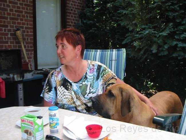 IMG_2864.jpg - Tja... Angela kann nicht nur Küsschen geben, sondern auch noch gut kraulen..... Besuch ist schon klasse ♥