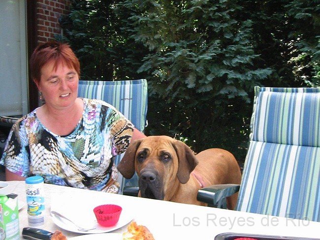 IMG_2865.jpg - Öh.... erwischt..... neiiiiin................ ich will keinen Kuchen..... oder doch? Vielleicht nur so ein gaaaanz kleines Stückchen? *liebguck*