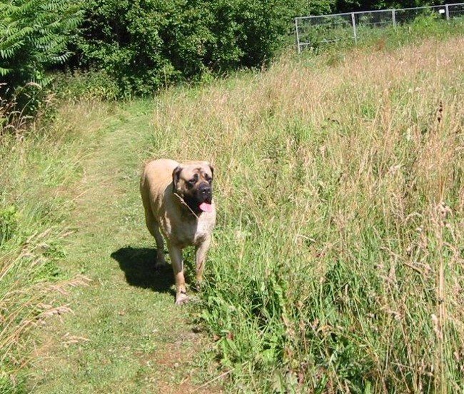 IMG_2878.jpg - Oh neee..... nu geht es schon wieder zurück... *seufz*