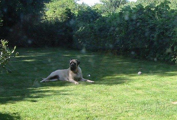 IMG_2885.jpg - So ist es nett. Keiner nervt..... und ich habe alles im Auge.