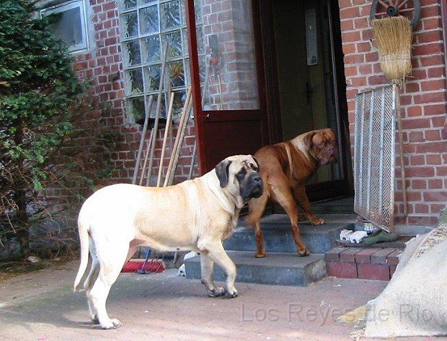 IMG_2896.jpg - Kommt Ihr mit rein? Besuchszeit ist zu Ende.....  Und an Angela: lieben Dank für die schönen Bilder ♥