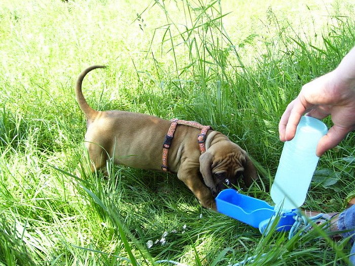 100_0093.JPG