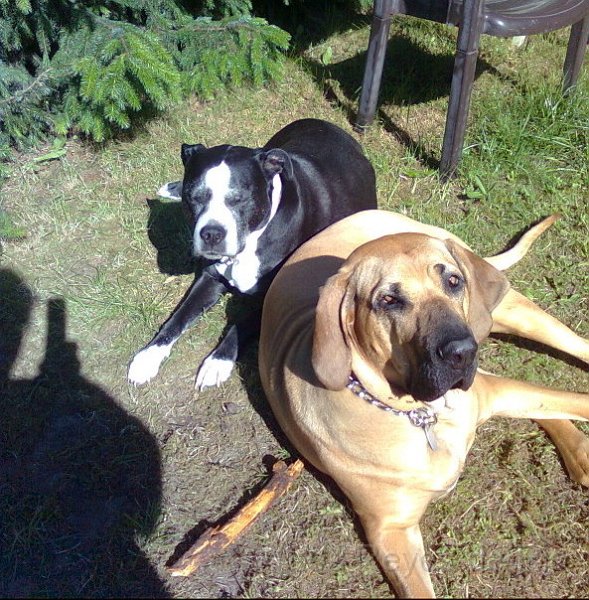 Bild0097.jpg