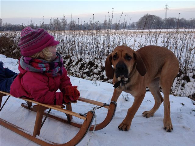 IMG_0966.jpg - Hm.... nur meine Mini-Chefin. 