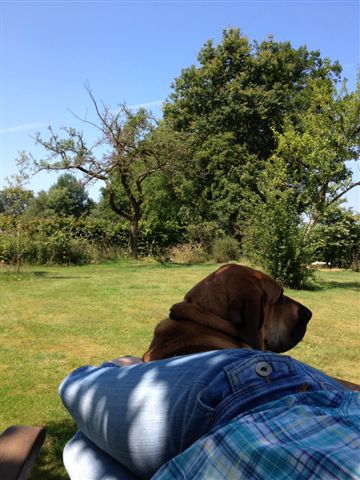 IMG_1801.jpg - ...aber trotzdem bin ich wachsam....