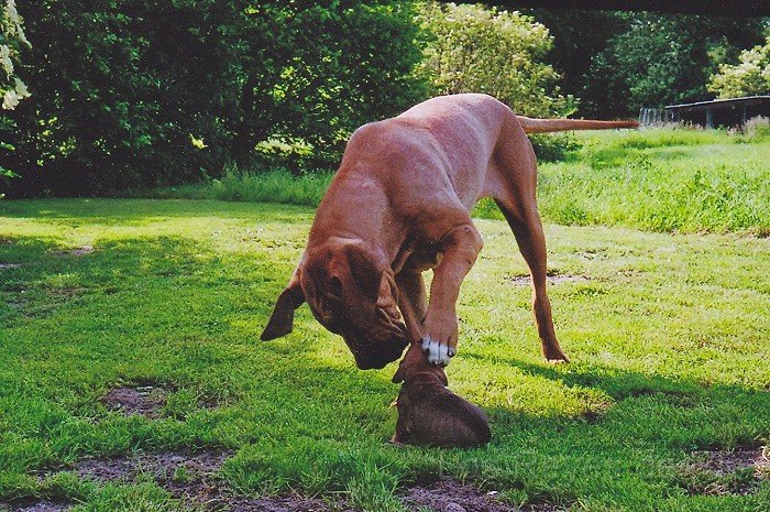 0607_1.jpg