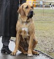 IMG_0930