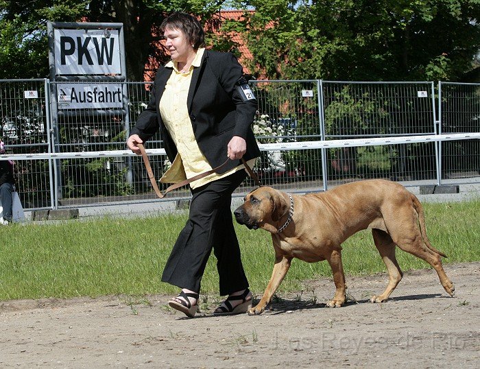 _MG_8613.jpg - Huch... wir sind ja gleich schon fertig.... pfffft... ich könnte noch eine Runde im Ring drehen....