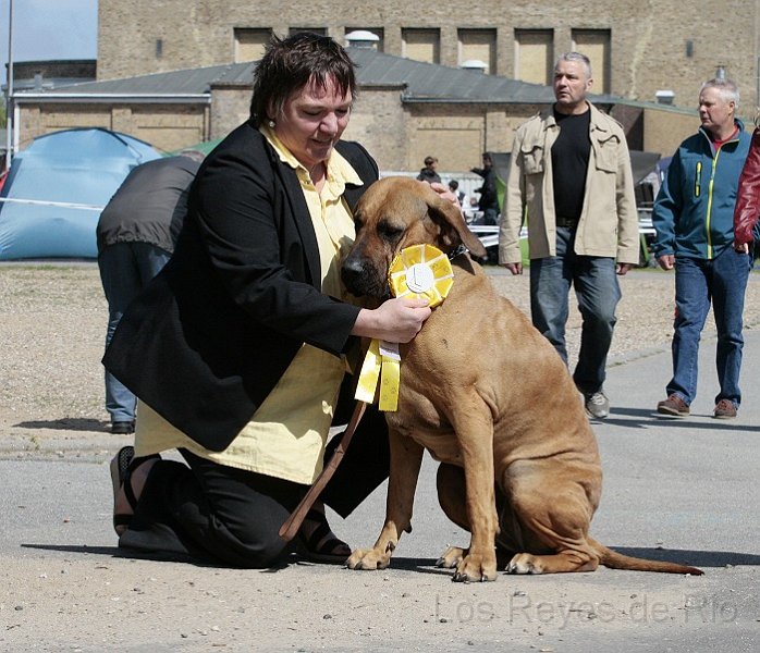 _MG_8623.jpg - V1 CACIB, CAC ♥  Frauchen, haben wir das gut gemacht?