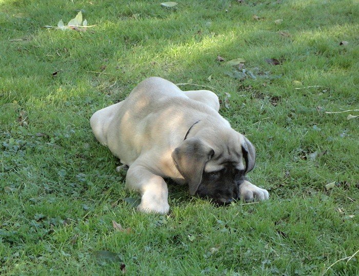 0121.jpg - Schnief.... schnauf.... nach was riecht es denn hier?
