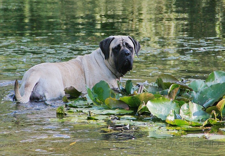 IMG_0910x.jpg - Ja ja.... ich bin ja schon am Aufräumen.