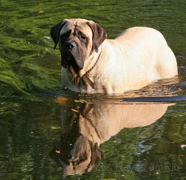 IMG_0930x.jpg - Wie? Schon wieder raus aus dem Teich? Will aber nicht...