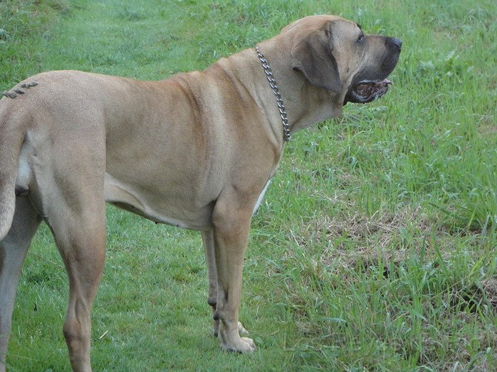 DSC00846.JPG - *schnüffel* Ist da noch mehr von dem Zeugs?