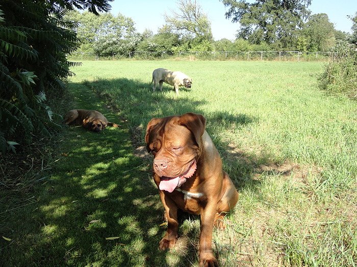 DSC00871.JPG - Kaninchen mögen weg sein.... die Mäuse aber nicht..... *g*