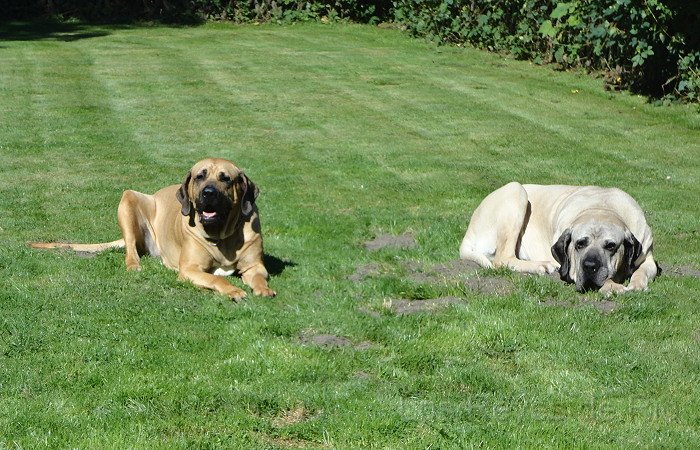 DSC00917.JPG - Langweilig ist das................... Warum müssen sich Mädels bloss immer sonnen? 