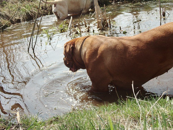 DSC00678.jpg - ..... Indianer können wir hier nicht gebrauchen.