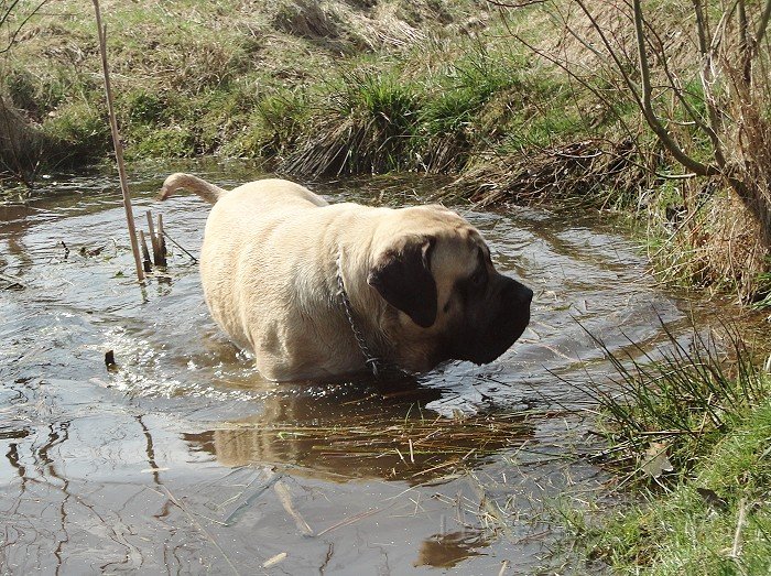 DSC00680.jpg - Echt? Na dann........