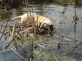 DSC00671