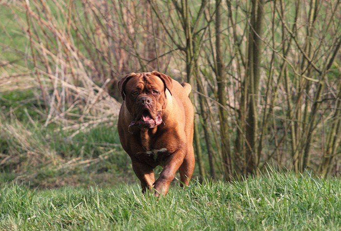 _MG_9473.jpg - Jippie... ich will baaaaden......