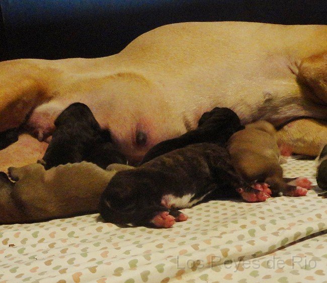 DSC01077.jpg - Diese kleine zarten Füsschen sind ja wohl der Hammer ♥♥♥♥